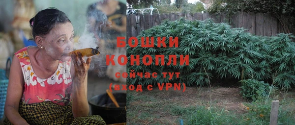 трава Надым