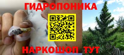 крисы Заволжье