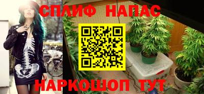гидра Жуковский