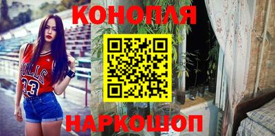 прущие грибы Заводоуковск