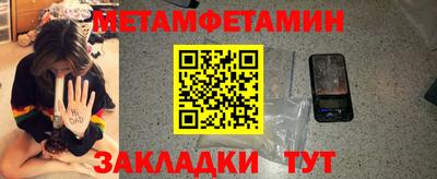 прущие грибы Заводоуковск